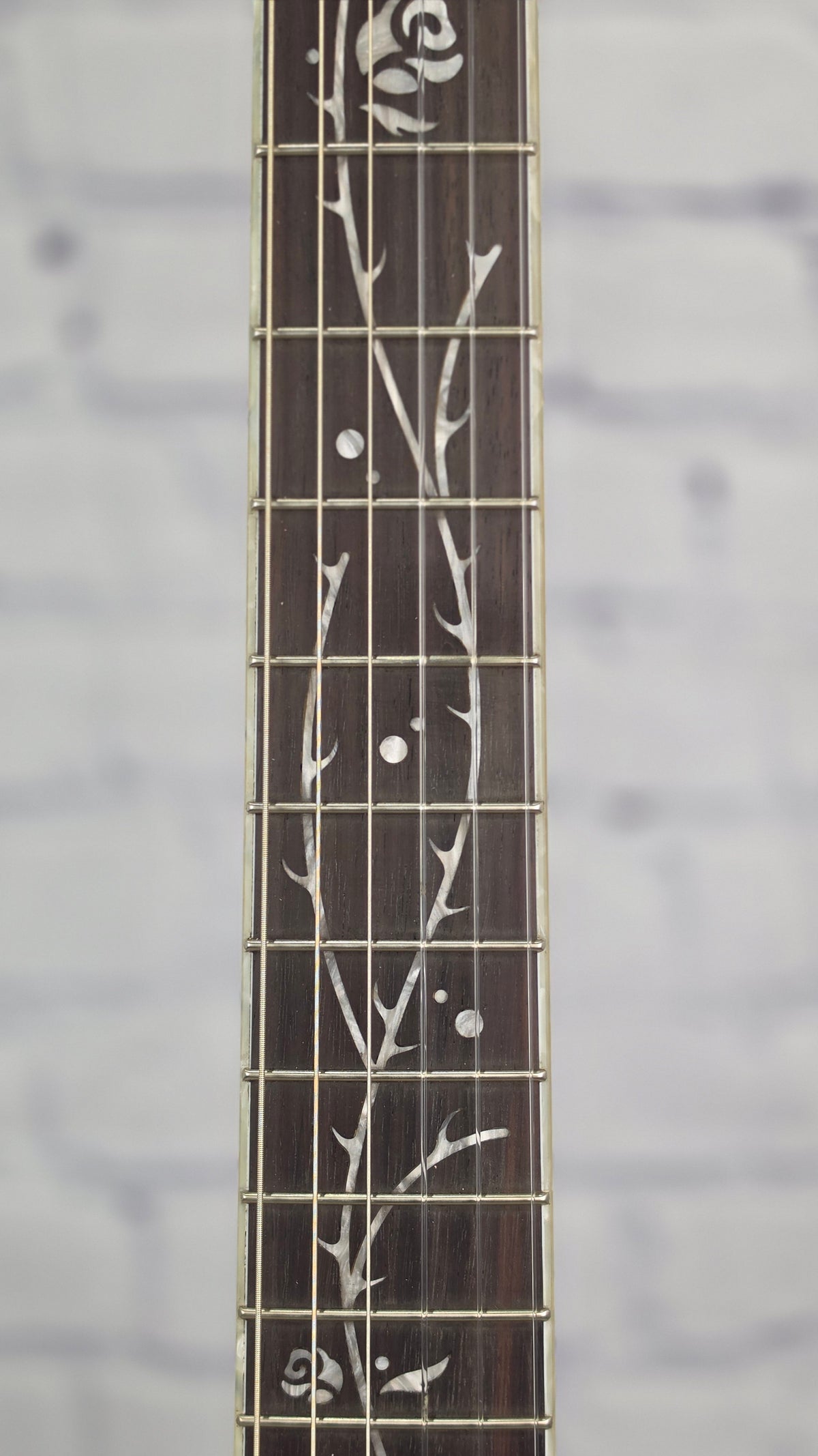 Ibanez TOD10N PAF Tim Henson Nylon String Acoustic Guitar Pearl Pink Flat