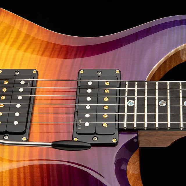 Paul Reed Smith PRS Guitars Dany Villarreal Custom 24 Astryx Limited Edition (PREORDER #2)