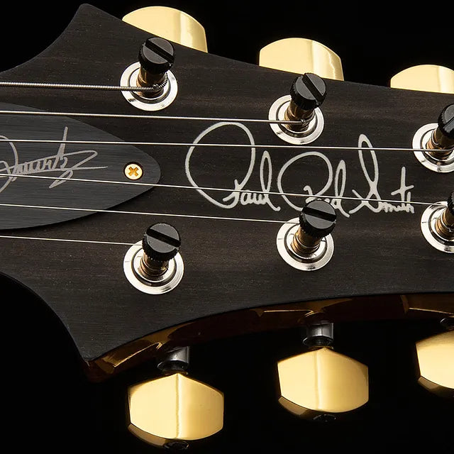 Paul Reed Smith PRS Guitars Dany Villarreal Custom 24 Astryx Limited Edition (PREORDER #2)