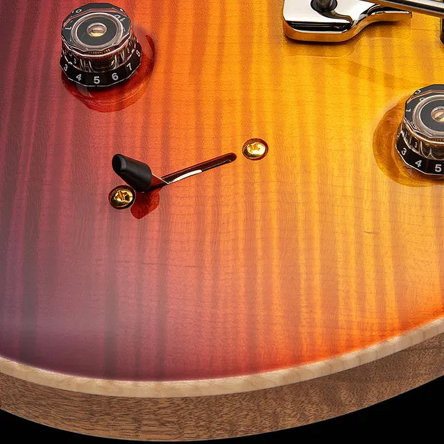 Paul Reed Smith PRS Guitars Dany Villarreal Custom 24 Astryx Limited Edition (PREORDER #2)