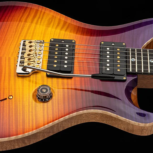 Paul Reed Smith PRS Guitars Dany Villarreal Custom 24 Astryx Limited Edition (PREORDER #2)