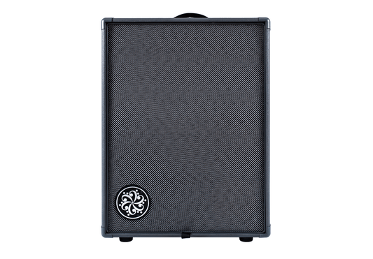 Darkglass Electronics Infinity 500 210 Digital Bass Combo (DG210D)