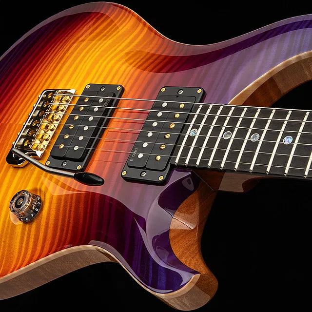 Paul Reed Smith PRS Guitars Dany Villarreal Custom 24 Astryx Limited Edition (PREORDER #2)
