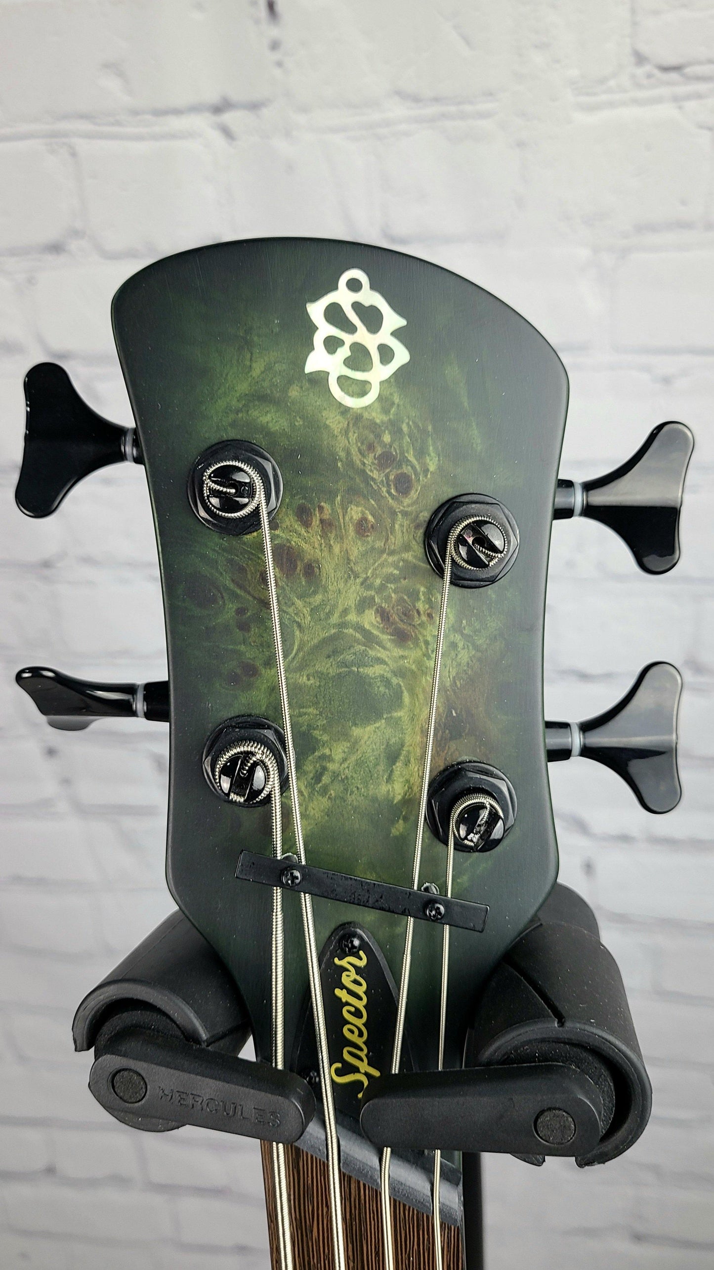 Spector NS Dimension 4 Multiscale Bass Haunted Moss Matte - Guitar Brando